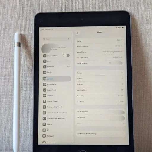 iPad Mini 5 64GB