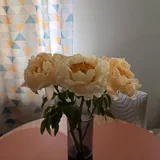 Ваза для цветов 2