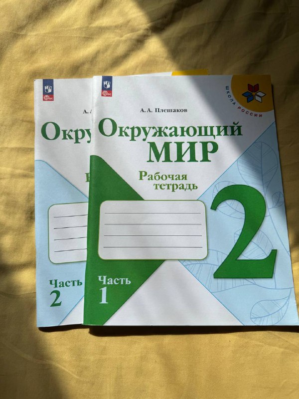 Учебники и рабочие тетради по русскому языку и математике 4