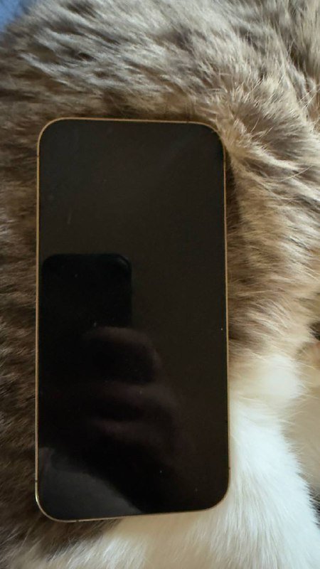 iPhone 13 Pro Max 256 Гб Золото 2