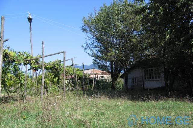 Земельный участок с виноградником 1150 кв.м.