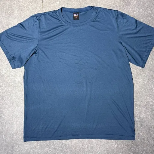 Patagonia Capilene t-shirt