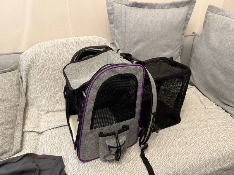 рюкзак для кошек и собак 7