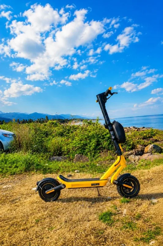 Xiaomi Electric Scooter 6 1