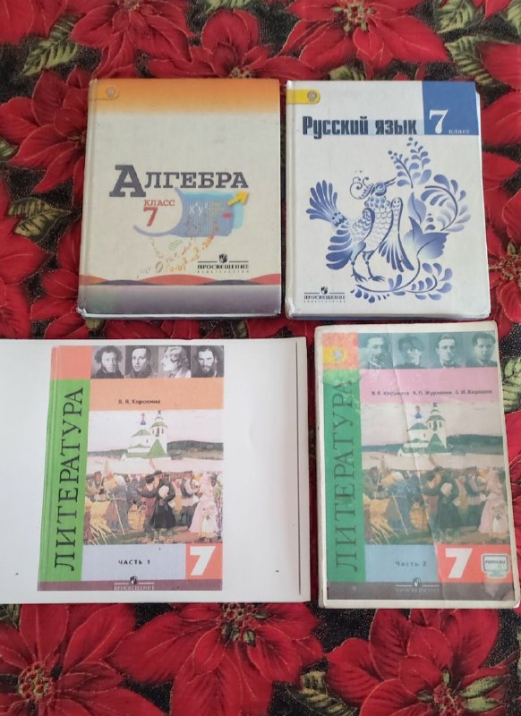 Учебники по литературе 2