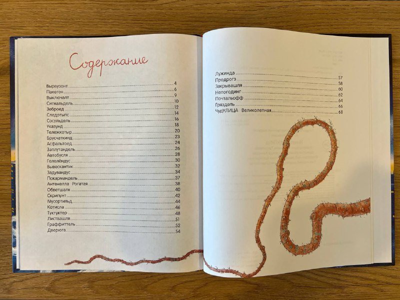 Книга чудУЛИищ Анна Никольская 2