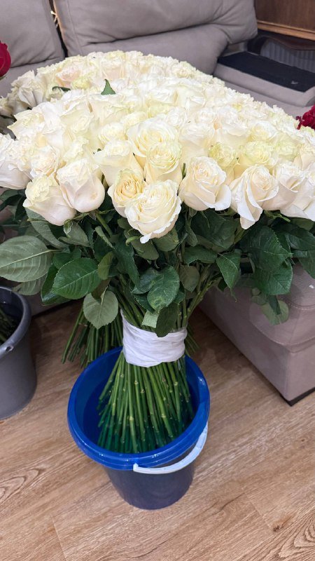 Букеты свежих роз от 20 до 160 шт 3