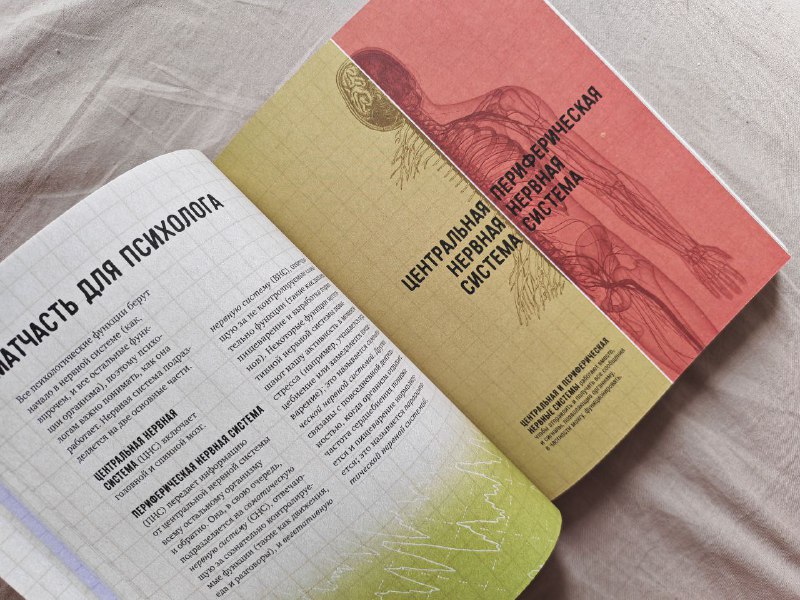 Книга Взлом психологии 4