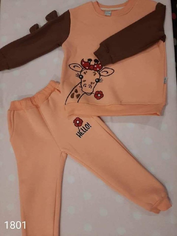 Толстовка с начёсом для детей 4 и 5 лет