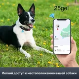 Чехол для AirPods 2 Pro, AirTag ошейник, AirTag чехол 6