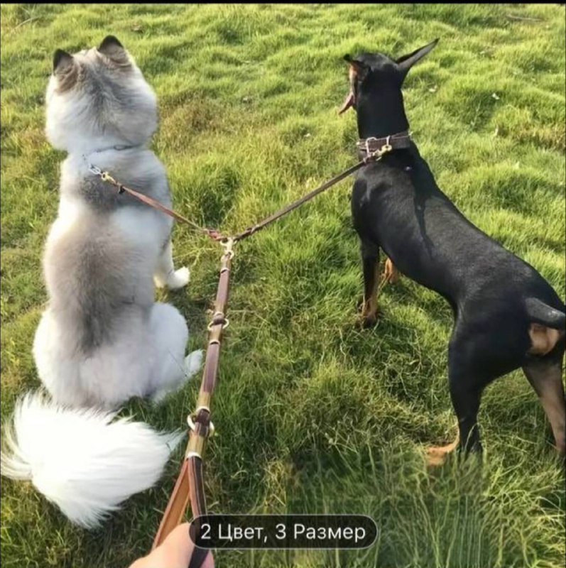 Кожаный поводок