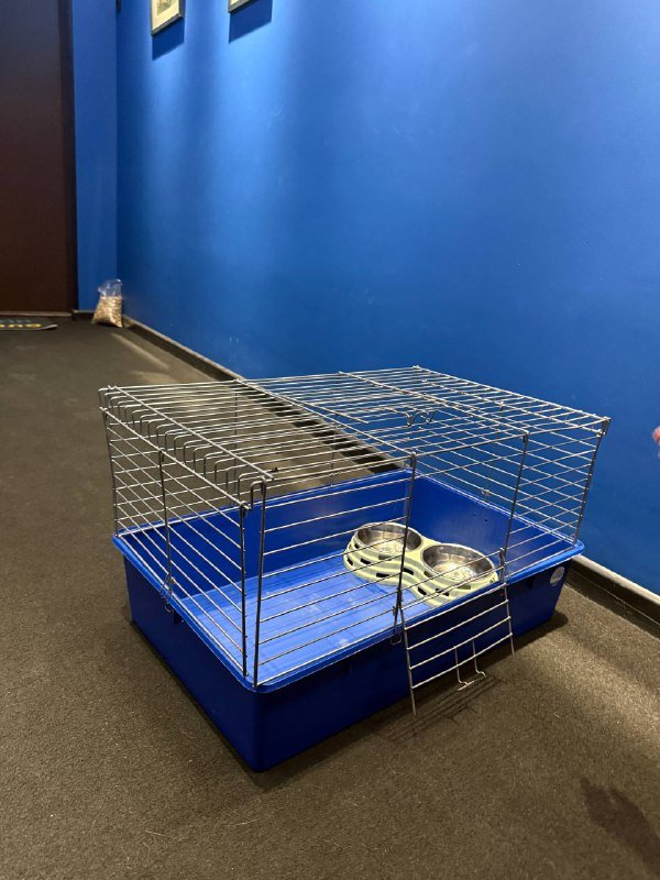 Клетка для морской свинки