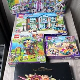 LEGO Friends наборы и LEGO Botanicals 1