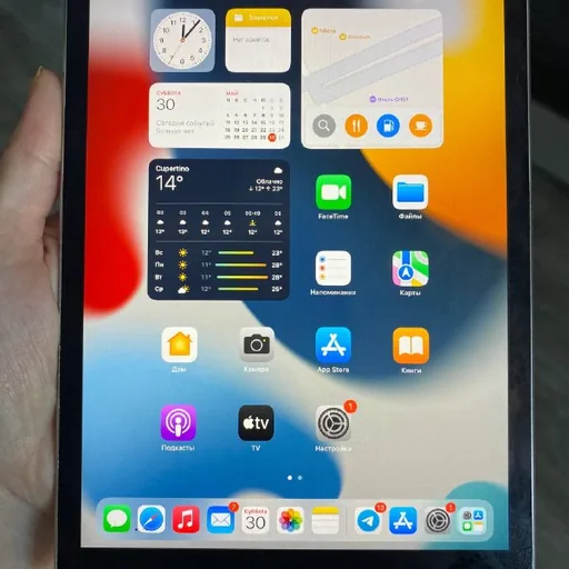 iPad mini 4