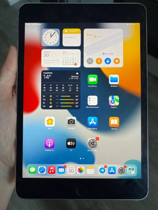 iPad mini 4 1