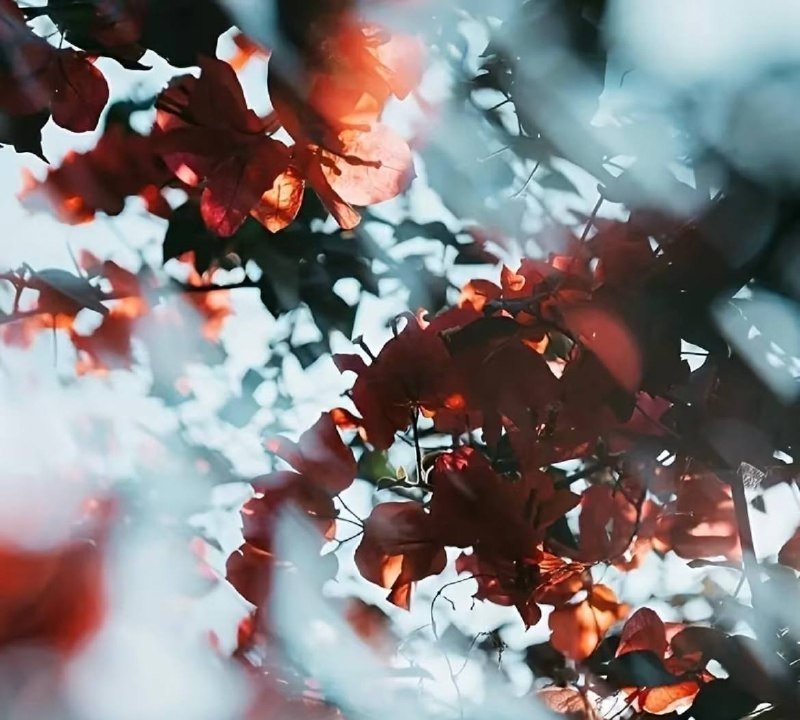 Фотофильтр для объектива с эффектом 82 мм 4