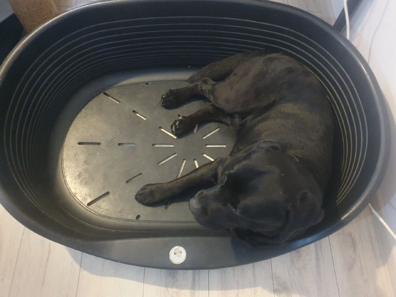 Собачья лежанка Ferplast для средних-больших собак