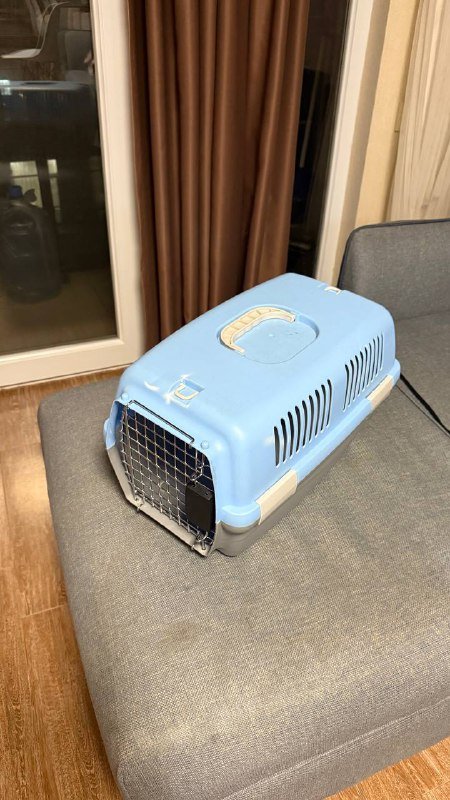 Дрон DJI Mini 2, объектив Canon EF-S, резинки для фитнеса, игра, переноска для кота, жилет с шортами, костюм Гарри Поттера, платье-рубашка 4