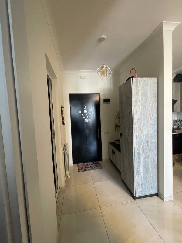Квартира 1+1 на Дмитрия Тавдадебули 98, 45 кв м 5