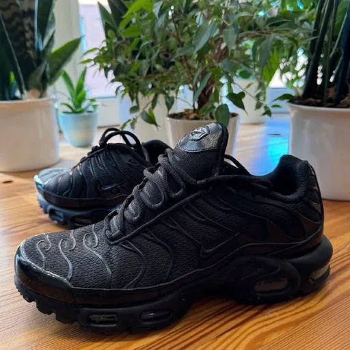 Мужские кроссовки Nike Air Max Plus TN