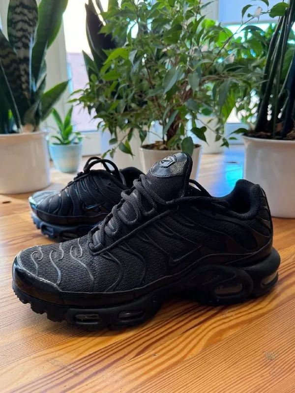 Мужские кроссовки Nike Air Max Plus TN 1