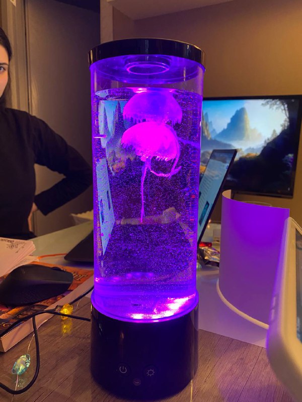 Фен Xiaomi Water Ionic Hair Dryer H500, Новогодние штучки, Гирлянда, Кашпо IKEA, Кастрюля, Лампа с медузами 7