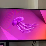 Мониторы Acer 24", Dell 24" и кронштейны 2