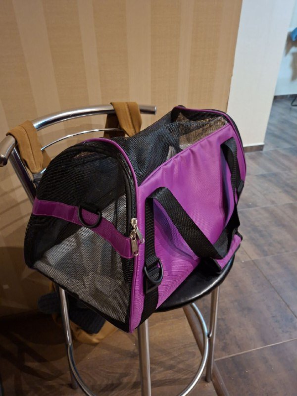 Переноска для котёнка