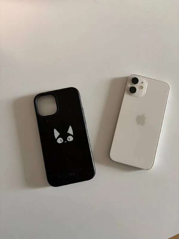iPhone 12 mini 1