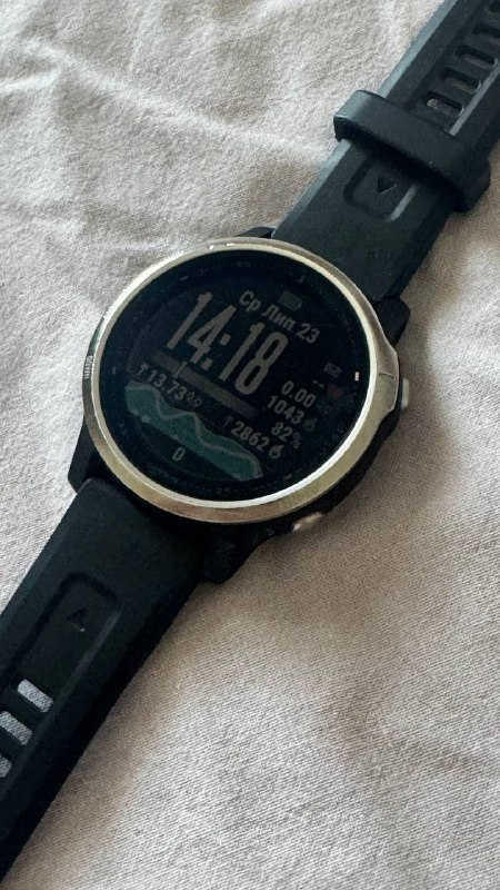 Часы Garmin Fenix 6s 2