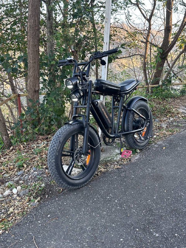 Электровелосипед Engwe M20 с мотором 750W 2