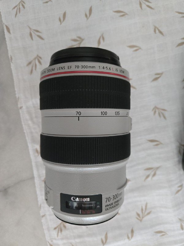 Canon EOS-1N пленочная фотокамера и объектив EF 70-300mm 4