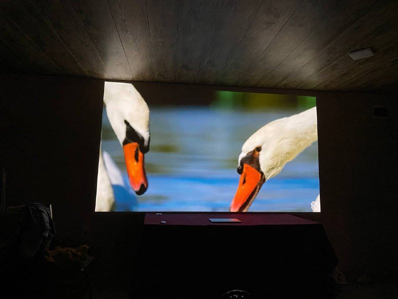 Проектор Sharp PG-D40W3D 7