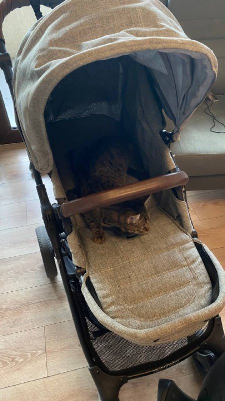 Детская всесезонная прогулочная коляска Valco Baby trend ultra