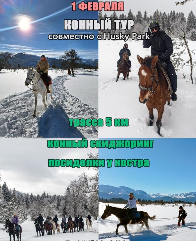 Конный тур в Бакуриани 1 февраля