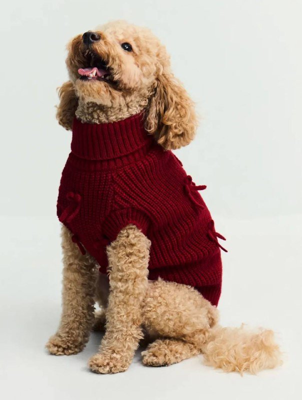 Свитер для собаки или кошки размер S