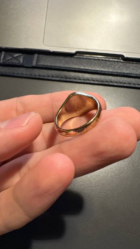 4 чехла для iPhone 14 pro max, мужское кольцо с львом 6