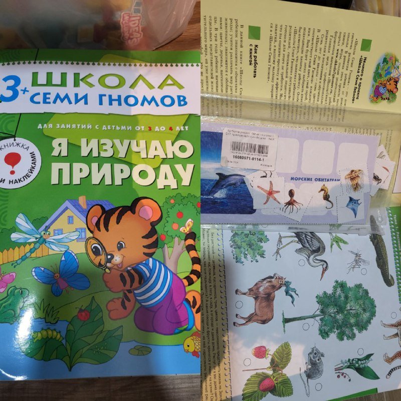 Книги серии Школа семи гномов 3+ 5