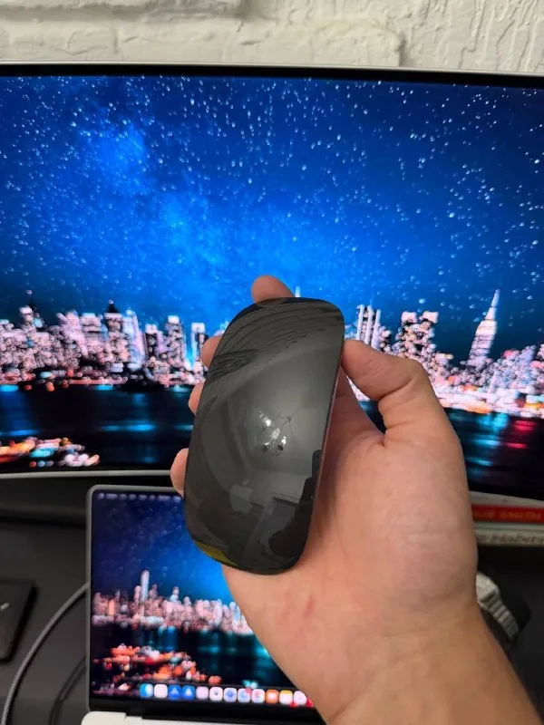 Apple Magic Mouse Type C черный 1