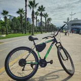 Горный велосипед Diasa 29 1
