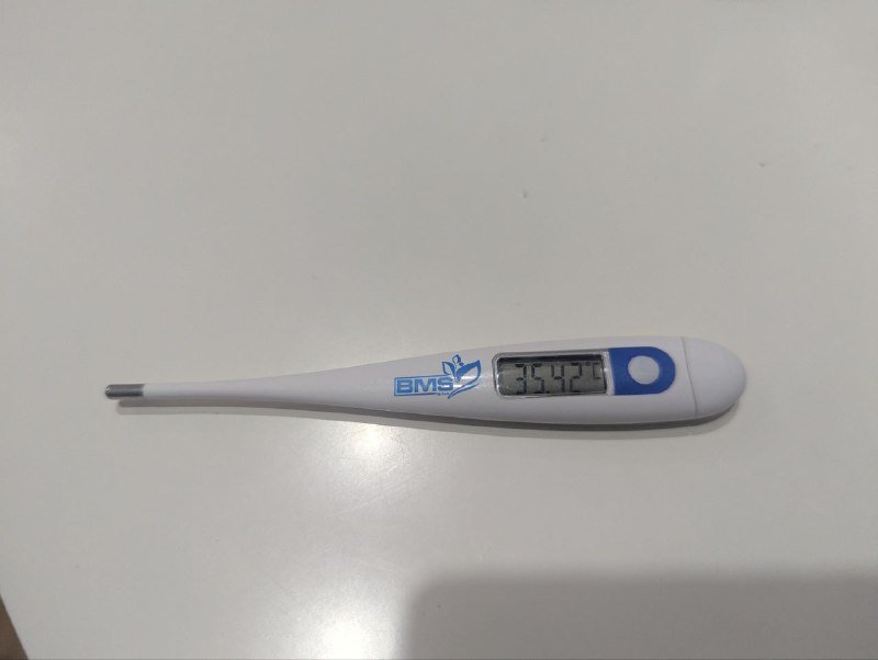 Термометр BMS швейцарский водостойкий с памятью