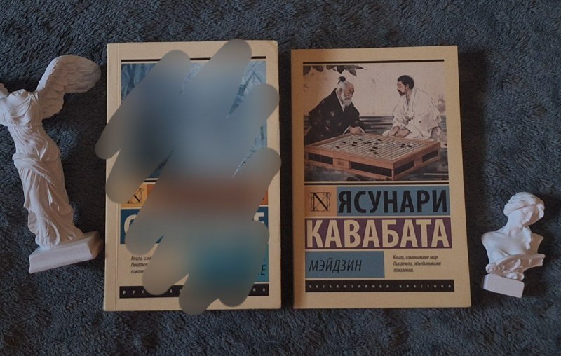 Книга Ясунари Кавабата Мэйдзин