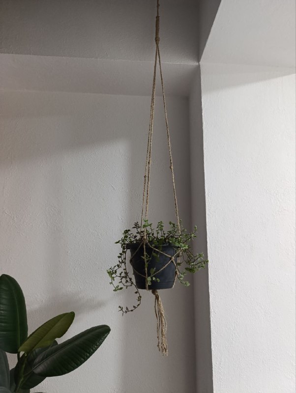 Надувной матрас, фен для волос babyliss, стайлер, кабель HDMI, очки, цветы, свечи ручная работа 8