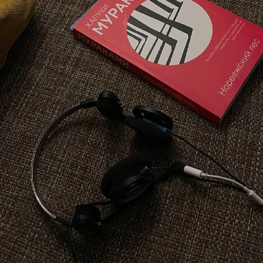 Наушники Koss Porta Pro