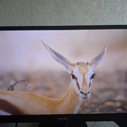 Монитор Philips 240V5Q