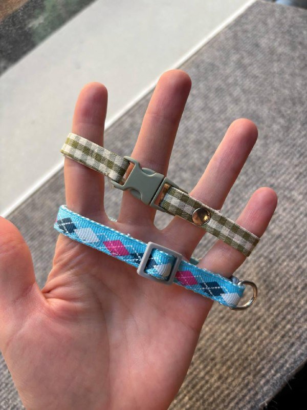 Защитный воротник, игрушки, ошейники, расчёска для животных 5