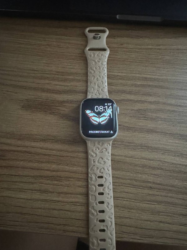 Apple Watch Series 8, часы и зарядное