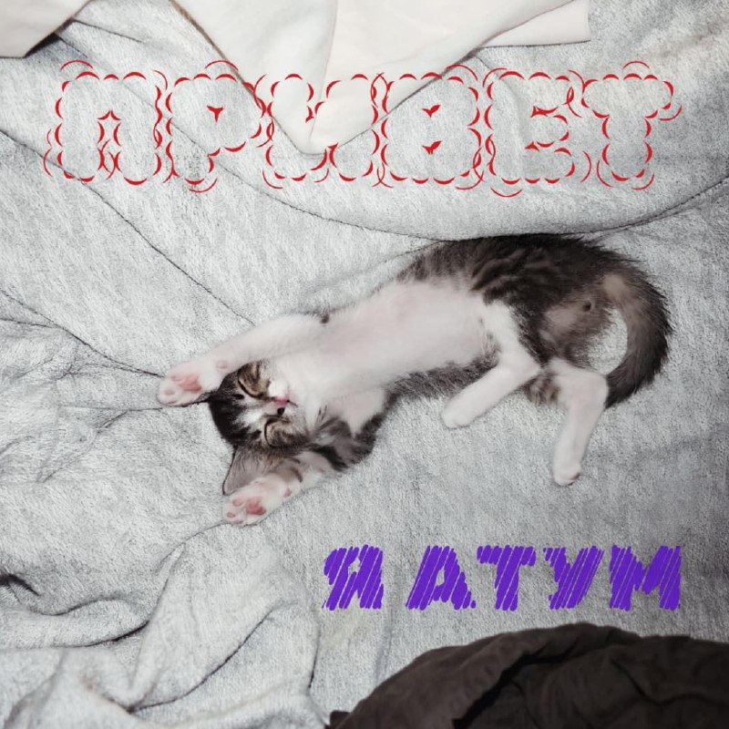 Мини котенок табби и белый мальчик