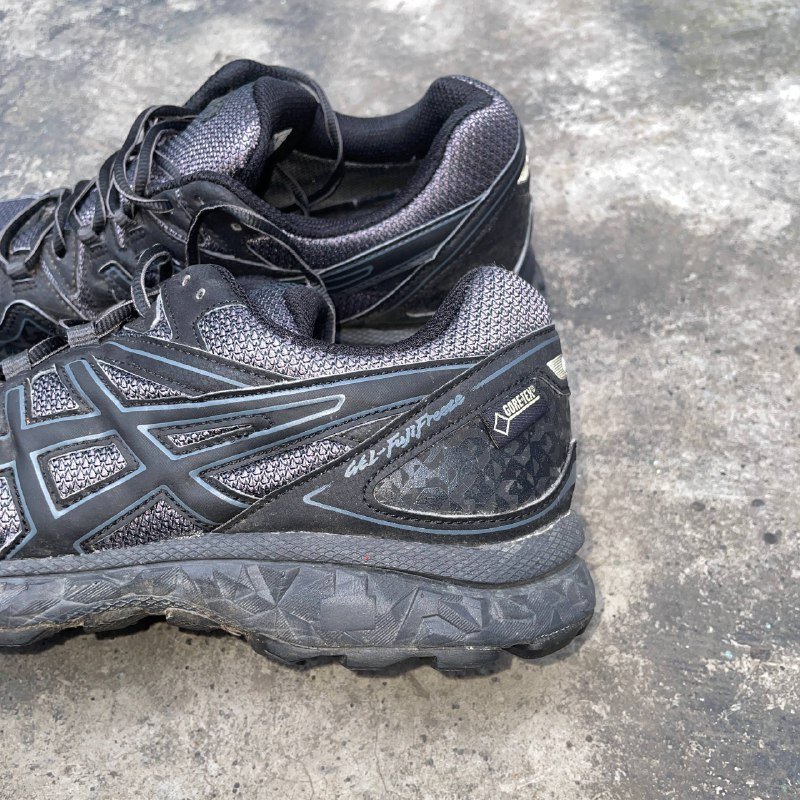 ASICS Gel-fujifreeze Gore-tex, Hoka SpeedGoat 4 Gore-tex shoes 2