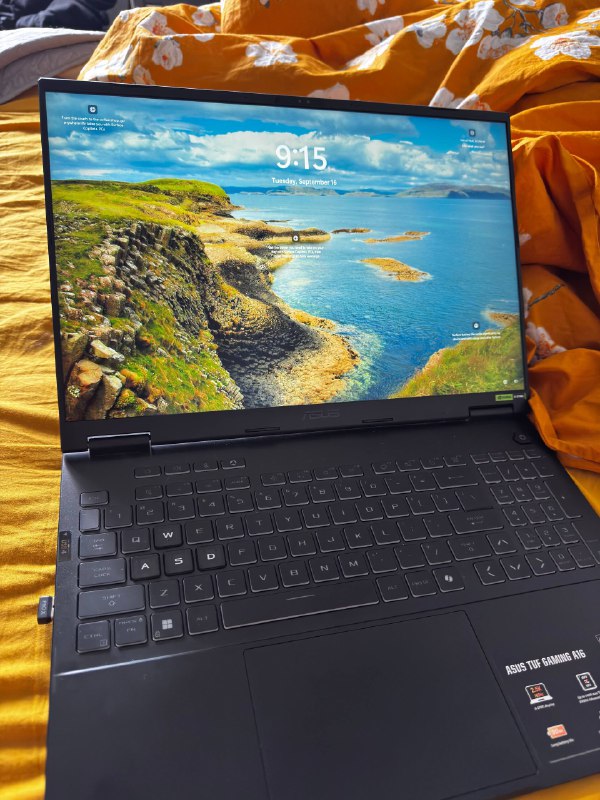 Asus Tuf a16 2024 игровой ноутбук AMD Ryzen AI 9 HX NVIDIA RTX 4060 32GB 1TB